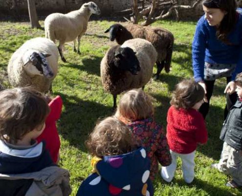 babalia educacion crowdfunding